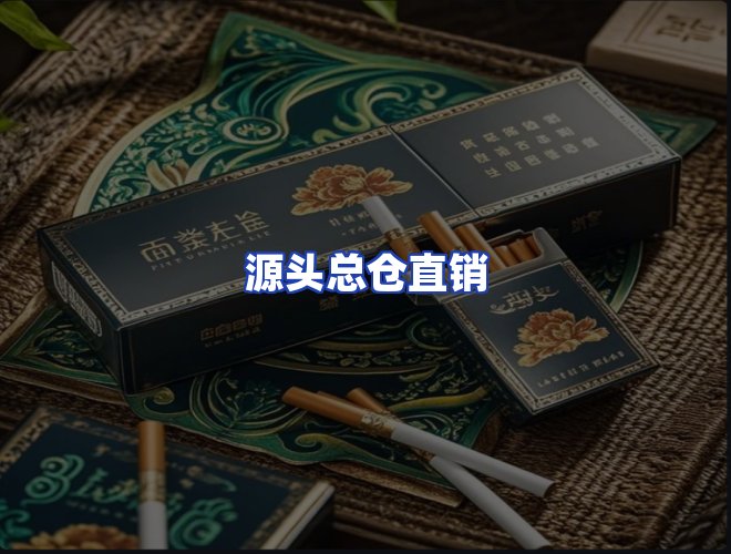 专业团队